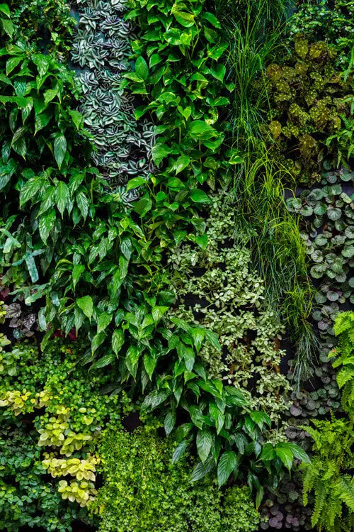 akustik-raumteiler-ag-6056-vertical-garden