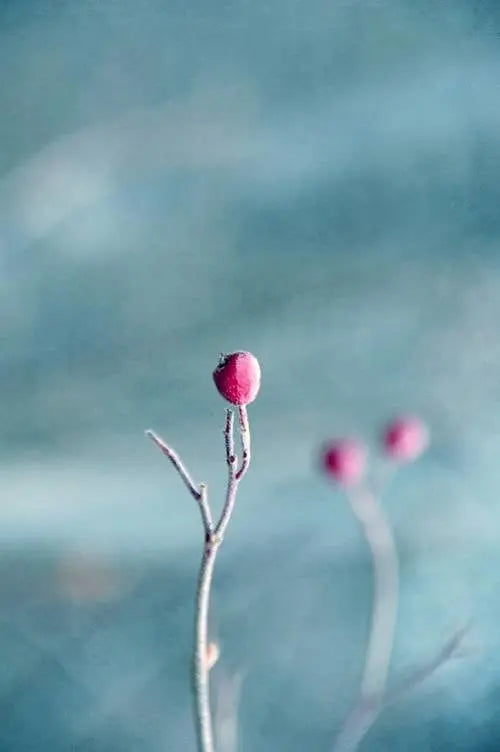 Alone