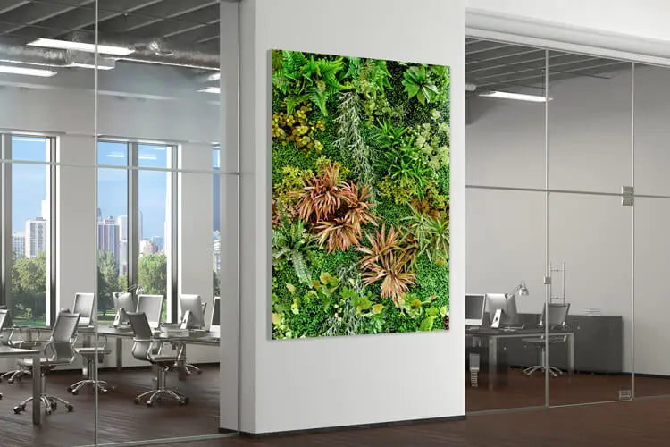 akustikbilder-ag-6057-plants