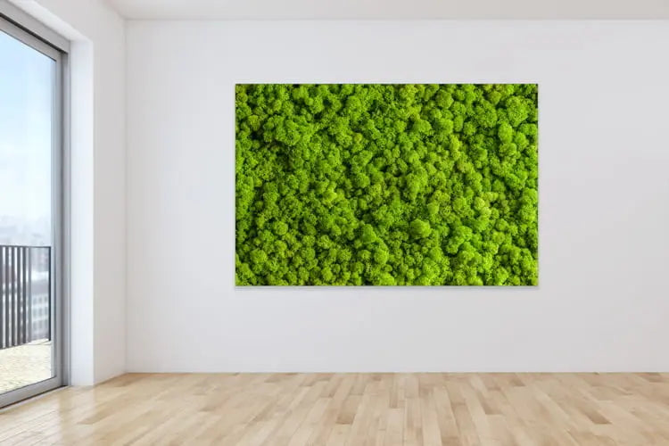 akustikbilder-ag-6058-moss-wall