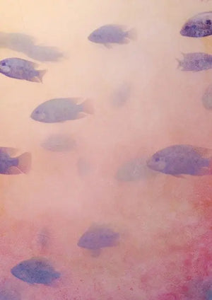 akustikbilder-motiv-cd-7145-fischen