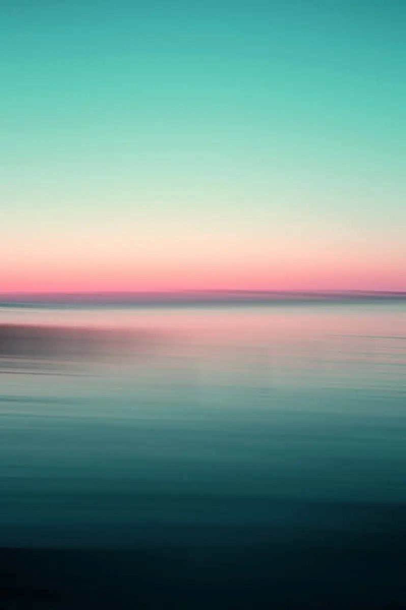 The Sea_web