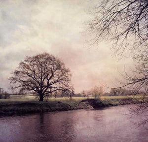 cd_7138_altwieeinbaum