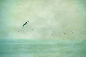 cd_7153_ocean