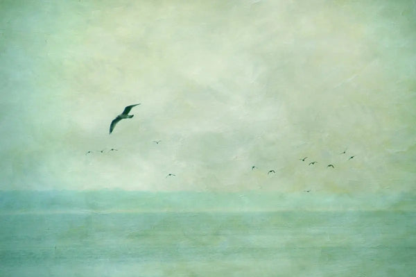 cd_7153_ocean