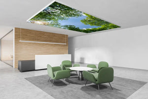 DS-Blaetterdach-12080-web
