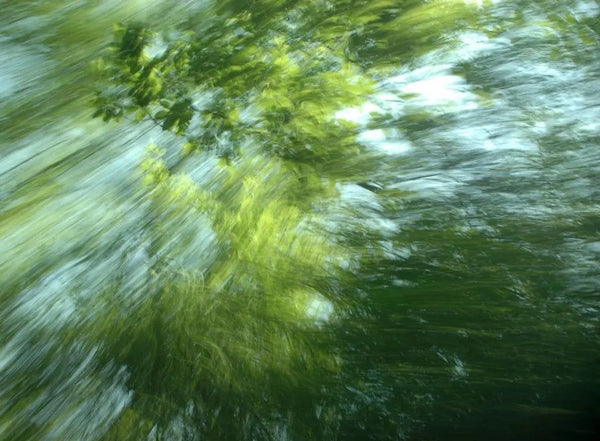 dsc-0006-1