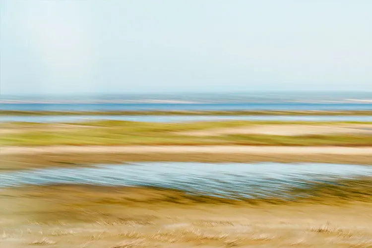 js_6150_Camargue