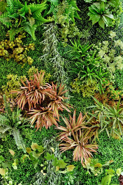 akustikbilder-ag-6057-plants