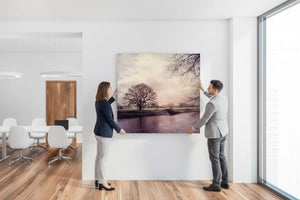 Einache Montage Akustikbild "Alt wie ein Baum"