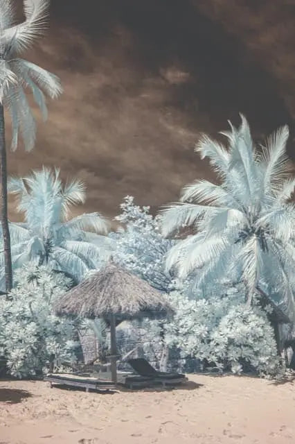 tk_9086_everydays paradise