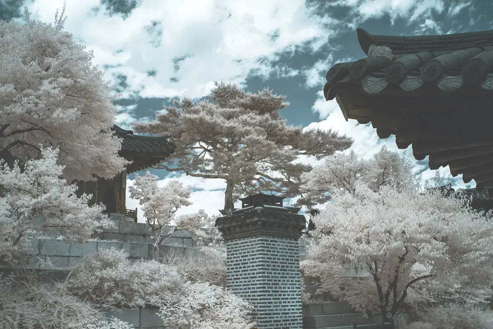 tk_9097_yet another palace, seoul infrared_imRaum (1)