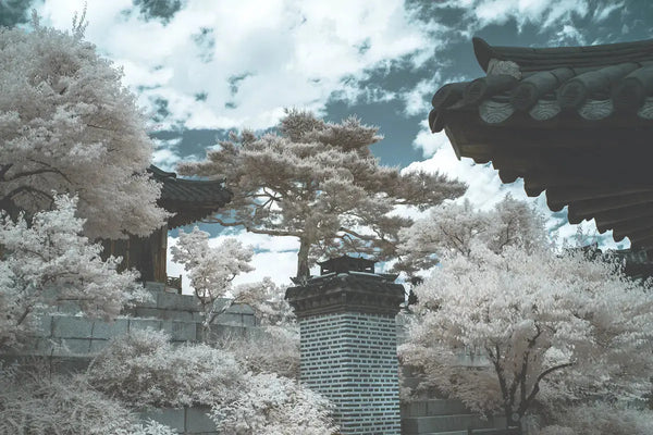 tk_9097_yet another palace, seoul infrared_MG_1216-2