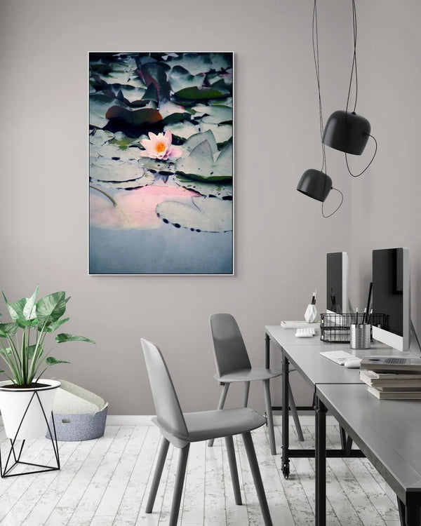 Water Lily_web
